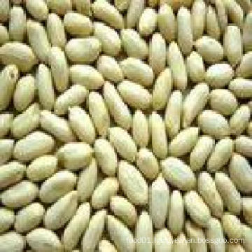 New High Quality Blanched Peanut Kernel